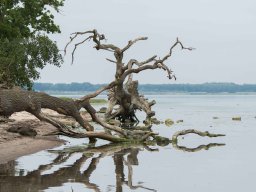 familie stockamp juni 2016 11